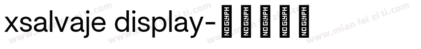 xsalvaje display字体转换